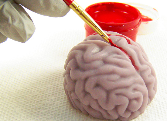 use a small artist's brush to get the paint into the crevices of the brain