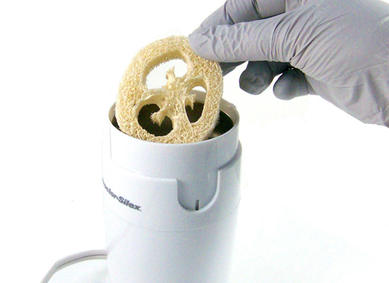 place slice of loofah into grinder