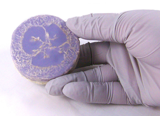 purple sliced loofah soap