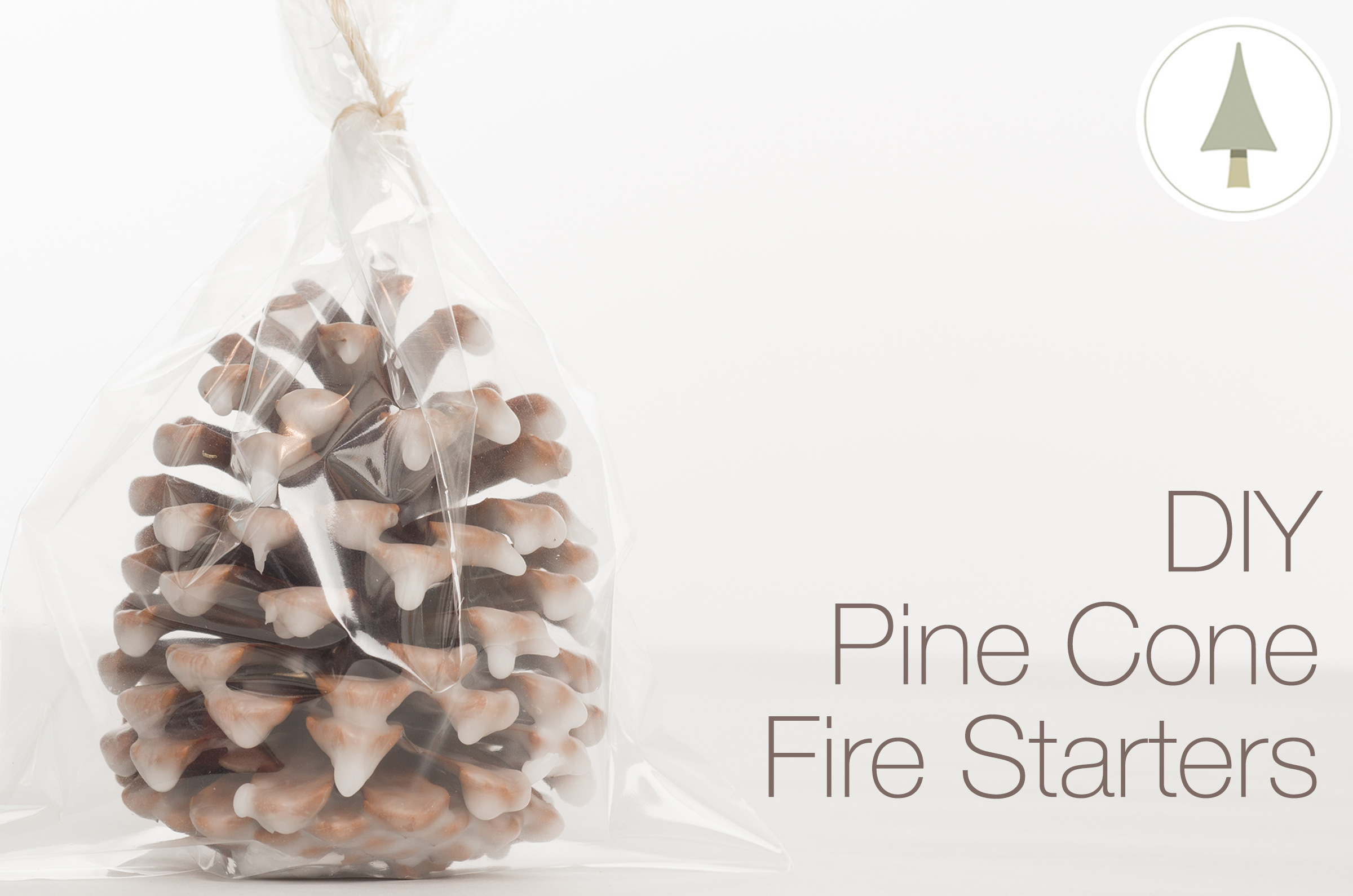 learn how to make fire starters from pine cones