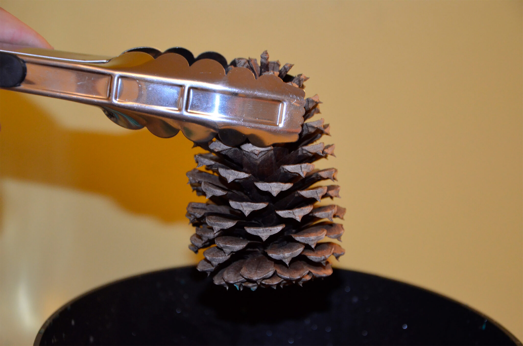 How to Make Potpourri Decorative Dipped Pine Cone Recipes