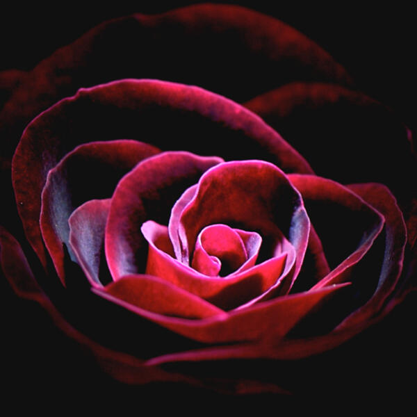 Home Rustic Escentuals Crafting Library